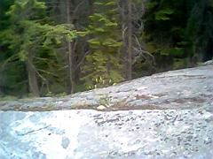 IMG0049