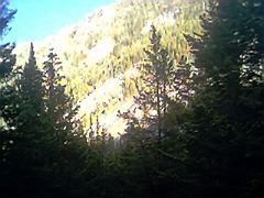 IMG0050