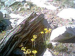 IMG0076