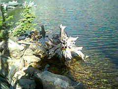 IMG0100