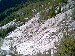 IMG0106