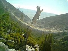 IMG0112