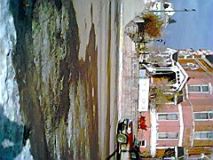 IMG0060