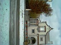 IMG0050