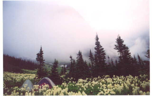 tentfog