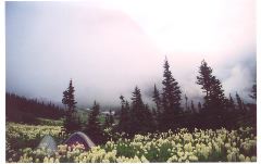 tentfog