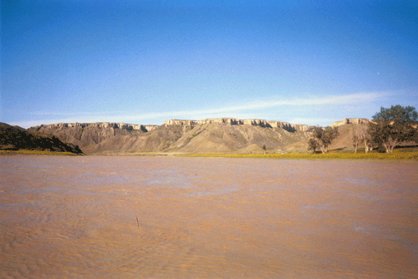 Untitled-4