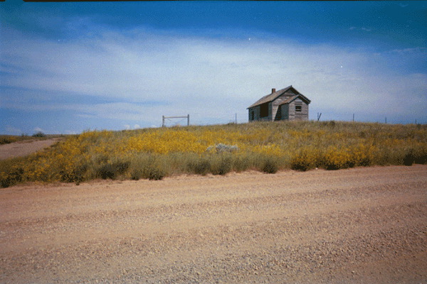 Untitled-25