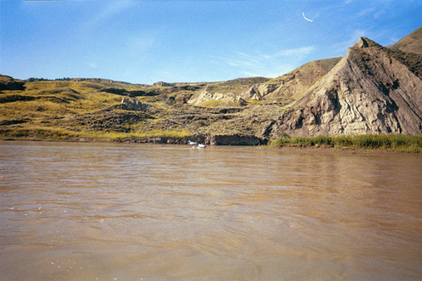 Untitled-11_1