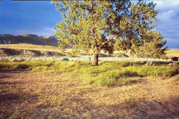 Untitled-17_1