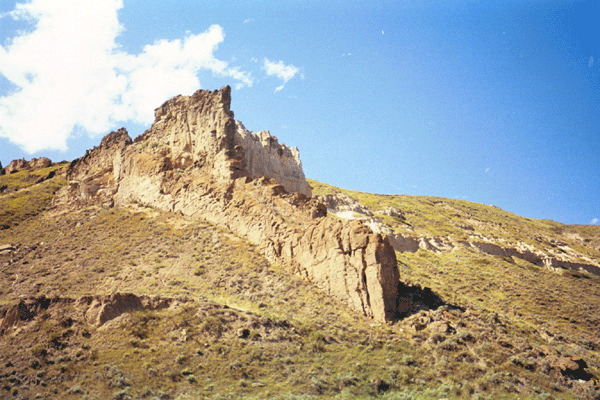 Untitled-25_1