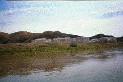 Untitled-19