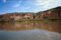 Untitled-21