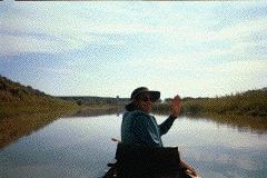 Untitled-23