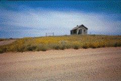 Untitled-25