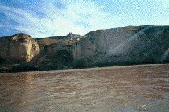 Untitled-12_1