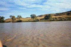 Untitled-13_1