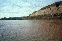 Untitled-14_1