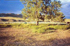 Untitled-17_1