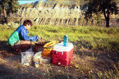 Untitled-19_1