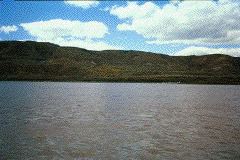 Untitled-20_1