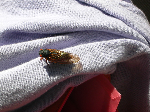 DSCN0150.JPG